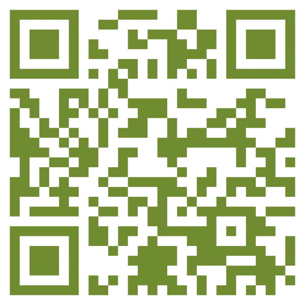 Equisetum myriochaetum Amanalco