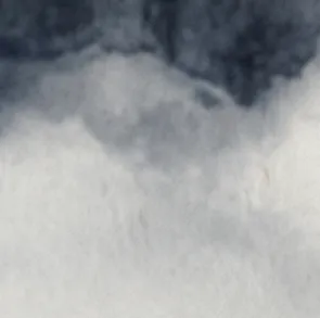 Té Trópico de Altura 50 grs